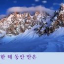 (12/14~12/15) : 3종목 겹치기 청약(프리시젼/지놈엔컴퍼니/석경)실시간 경쟁률 이미지