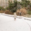 또담이 19개월 육아일기2 ◇ 눈 내린날의 산책 / 이뮤 어그부츠 선물받았어요 / 베베드피노 장갑, 모자...