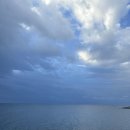 헬스 달리아 이미지