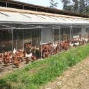 월정농장 이미지