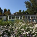 화남생가 부근 | 경춘선숲길(경춘선숲길 종점,담터마을 ~ 구 화랑대역).(2019년10월13일)