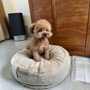 멍데이 살롱 이미지