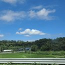 용인대 고려태권도장 이미지