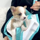 균영농장 이미지