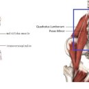 바라다한의원 이미지