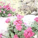 현대아파트 입구 이미지