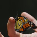 곡물이야기 - 군포시 광정로 25-57 | 곡물이야기