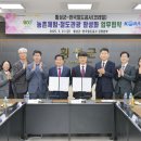 한국철도공사 강원본부 국제뉴스