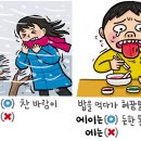 [예쁜 말 바른 말] &#39;에다&#39;와 &#39;에이다&#39; 이미지