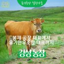 강성농장 네이버블로그
