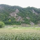 상수리숲농장 이미지