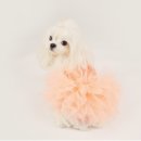 퍼피엔젤 이미지