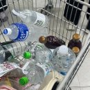 남면-4 | [남면농협 하나로마트 청포대점] 바베큐 준비는 여기서! 고기 + 수산물 판매장 후기