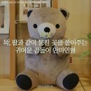 아이디어상사 이미지