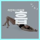 라인마스터의원
