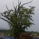 옥대3리 이미지