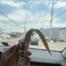 함평한우육회비빔밥 - 가평군 | 함평한우육회비빔밥