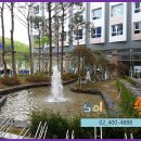 강남솔공인중개사사무소 이미지