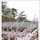 담양 반딧불 이미지