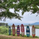 악양생태공원(숲속놀이터 옆) | 경남 함안 가볼만한곳 악양생태공원 핑크뮬리 실시간 여긴 어때? ft. 주차장