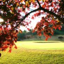 레이크사이드회원 이미지