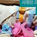 서래안 펫타운 이미지