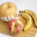 스탠다드짐 이미지