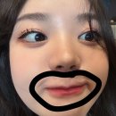 2024ver. 50문 50답이다