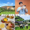 양씨삼강문 | 광주가볼만한곳 더아람 자연 속에서 즐기는 체험형 프로그램 광주FIT여행
