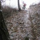 대숲속으로 이미지