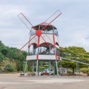 공원플라워 이미지