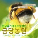 평동서초등학교 이미지