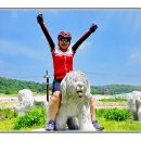 영천체육공원 Daum카페