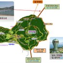 강진주유소 이미지