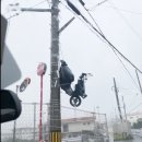 오키나와 상륙한 태풍 카눈 위력 ㄷㄷ 이미지