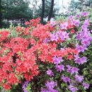 동심공인중개사사무소 이미지