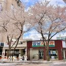 고성동 행정복지센터 | 대구 벚꽃 명소 고성동 벚꽃길 3월 31일 실시간 상황 주차