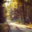 늘좋은한의원 이미지