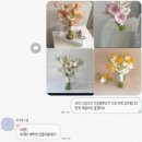 일출로2 | 피렌체 하그래스냅 내돈내산 일출 2시간 후기