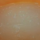 개와 사람(애견호텔) 이미지