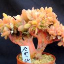 상학농장 이미지