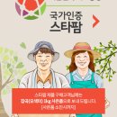 스타팜 이미지