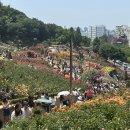 그순간꽃부천 이미지