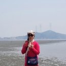 통발 이미지