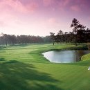 월드스크린골프 이미지