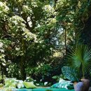 자연의쉼터 이미지