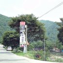 내리계곡 솔밭캠핑장 이미지