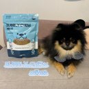 빅덴탈 | 누터스가든 | 버블리츄 강아지 덴탈껌 후기