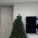 사랑 스케치 | 작은평수 pe100 재니쓰홈 크리스마스트리 150 후기 + 윈터스케치 오너먼트