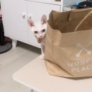 봉곡동물병원 이미지